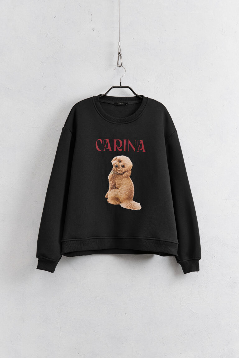 felpa-art-ld3703 (1)